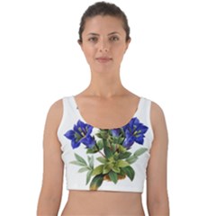 Velvet Crop Top 