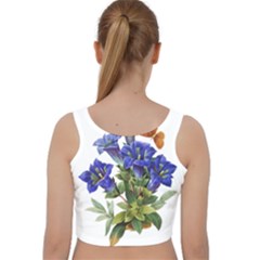 Velvet Racer Back Crop Top 