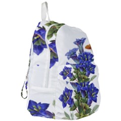 Foldable Lightweight Backpack 