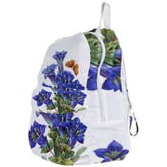 Foldable Lightweight Backpack 