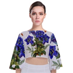 Tie Back Butterfly Sleeve Chiffon Top 