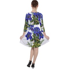 Quarter Sleeve Ruffle Waist Dress 