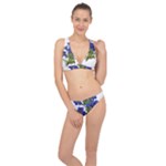 Vintage-blume-kunst-clipart-16307836606qy-removebg-preview Classic Banded Bikini Set 