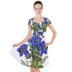 Cap Sleeve Midi Dress 