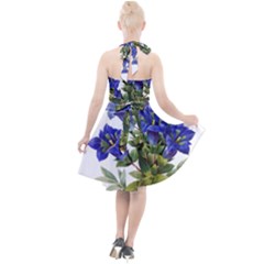 Halter Party Swing Dress  