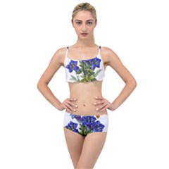 Layered Top Bikini Set 