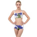 Vintage-blume-kunst-clipart-16307836606qy-removebg-preview Layered Top Bikini Set