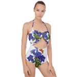 Vintage-blume-kunst-clipart-16307836606qy-removebg-preview Scallop Top Cut Out Swimsuit