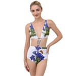 Vintage-blume-kunst-clipart-16307836606qy-removebg-preview Tied Up Two Piece Swimsuit
