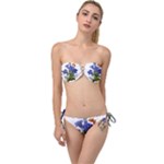 Vintage-blume-kunst-clipart-16307836606qy-removebg-preview Twist Bandeau Bikini Set