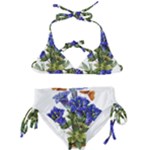 Vintage-blume-kunst-clipart-16307836606qy-removebg-preview Kids  Classic Bikini Set