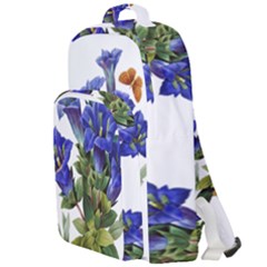 Double Compartment Backpack 