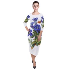 Quarter Sleeve Midi Velour Bodycon Dress 