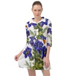 Vintage-blume-kunst-clipart-16307836606qy-removebg-preview Mini Skater Shirt Dress