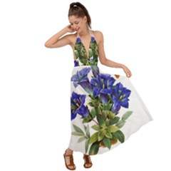 Backless Maxi Beach Dress 