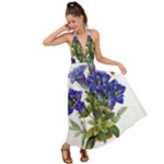 Vintage-blume-kunst-clipart-16307836606qy-removebg-preview Backless Maxi Beach Dress
