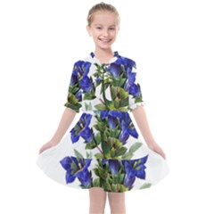 Kids  All Frills Chiffon Dress 