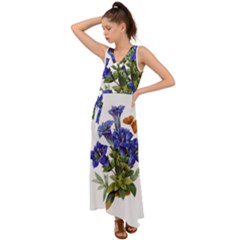 V-Neck Chiffon Maxi Dress 