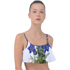 Frill Bikini Top 