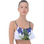 Vintage-blume-kunst-clipart-16307836606qy-removebg-preview Frill Bikini Top