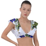 Vintage-blume-kunst-clipart-16307836606qy-removebg-preview Plunge Frill Sleeve Bikini Top