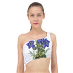 Vintage-blume-kunst-clipart-16307836606qy-removebg-preview Spliced Up Bikini Top 