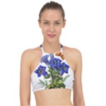 Vintage-blume-kunst-clipart-16307836606qy-removebg-preview Racer Front Bikini Top