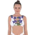 Vintage-blume-kunst-clipart-16307836606qy-removebg-preview Bandaged Up Bikini Top