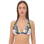 Vintage-blume-kunst-clipart-16307836606qy-removebg-preview Double Strap Halter Bikini Top