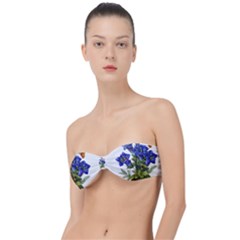 Classic Bandeau Bikini Top  
