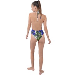 Backless Halter One Piece Swimsuit 