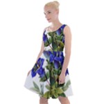 Vintage-blume-kunst-clipart-16307836606qy-removebg-preview Knee Length Skater Dress