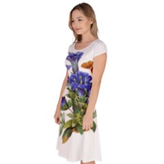 Classic Short Sleeve Dress 