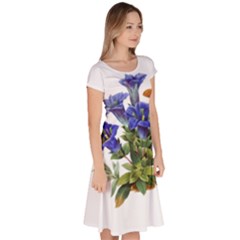 Classic Short Sleeve Dress 