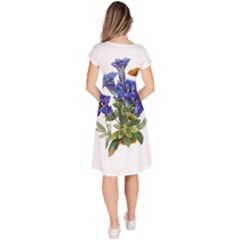 Classic Short Sleeve Dress 