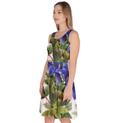 Knee Length Skater Dress With Pockets 