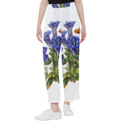 Women s Pants  