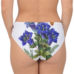 Double Strap Halter Bikini Bottoms 