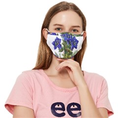 Fitted Cloth Face Mask (Adult) 