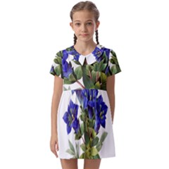 Kids  Asymmetric Collar Dress 