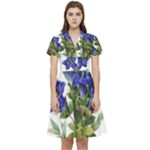 Vintage-blume-kunst-clipart-16307836606qy-removebg-preview Short Sleeve Waist Detail Dress