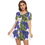 Vintage-blume-kunst-clipart-16307836606qy-removebg-preview Tiered Short Sleeve Mini Dress
