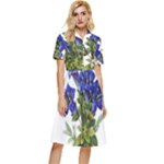 Vintage-blume-kunst-clipart-16307836606qy-removebg-preview Button Top Knee Length Dress