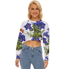 Lightweight Long Sleeve Sweatshirt 