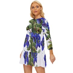 Long Sleeve Babydoll Dress 