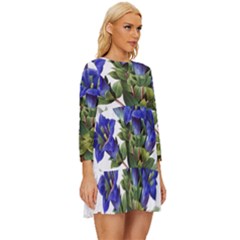 Long Sleeve Babydoll Dress 