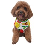 Flat fruits Dog Sweater