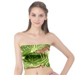 Tiger Pattern Background Tube Top