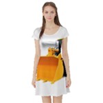 937h 1 955n 2 955n 1 932 1 Short Sleeve Skater Dress
