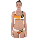 Cross Back Hipster Bikini Set 